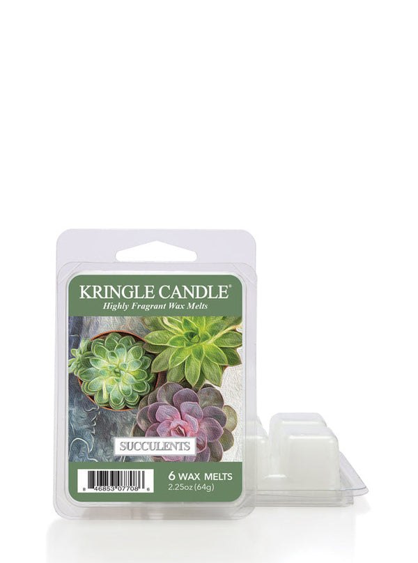 Succulents | Wax Melt - Kringle Candle Israel