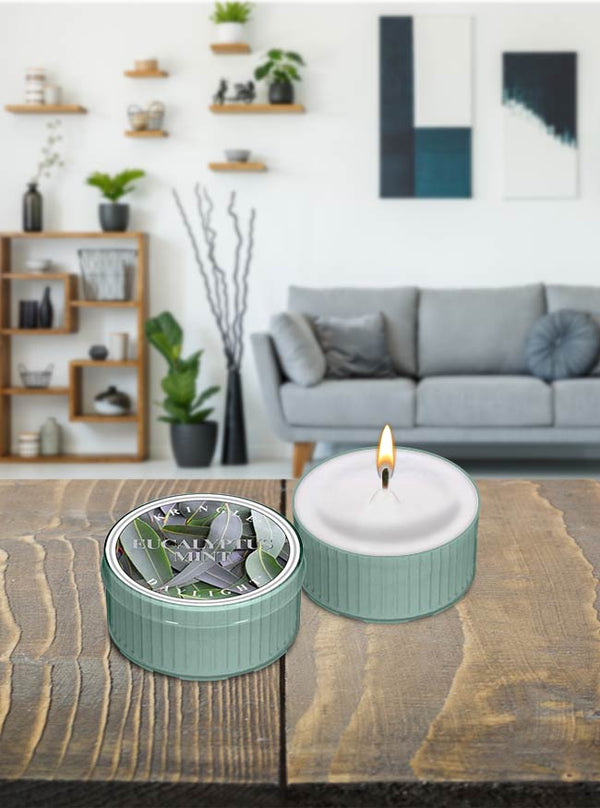 Eucalyptus Mint | DayLight - Kringle Candle Israel